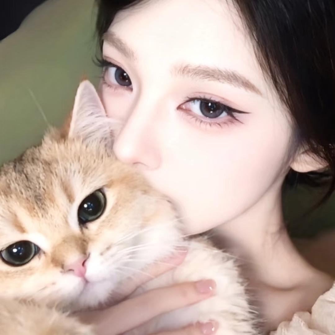 呆呆魚👸