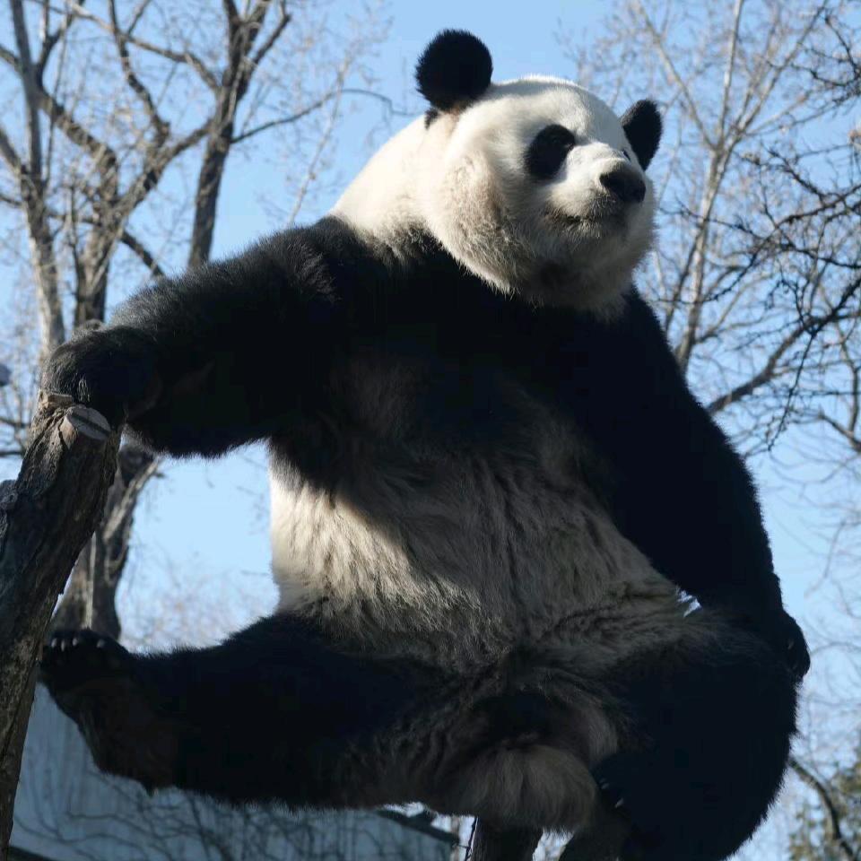 当归即好