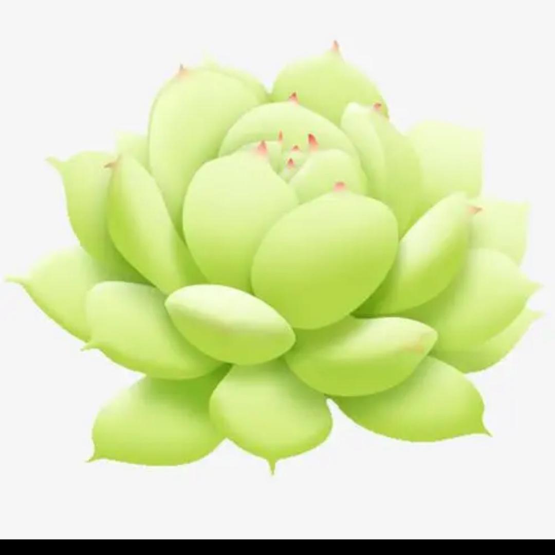 开心花房