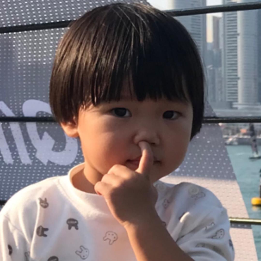 龙