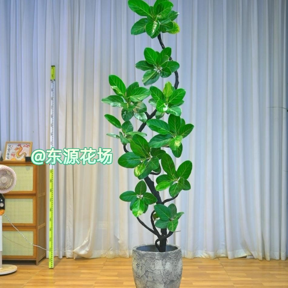 东源园林