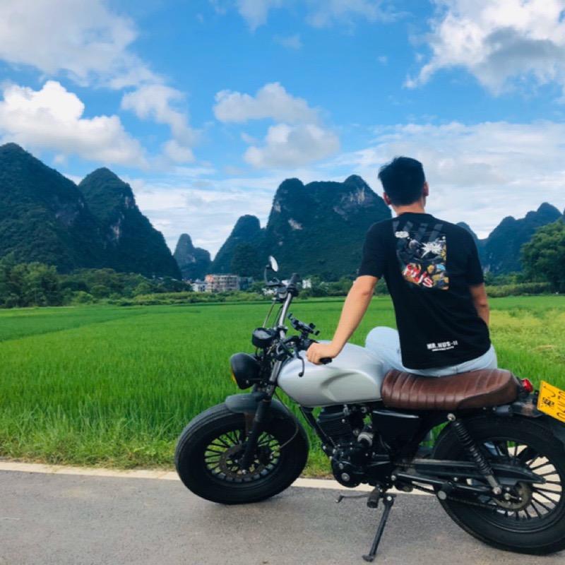 🌈猫三向