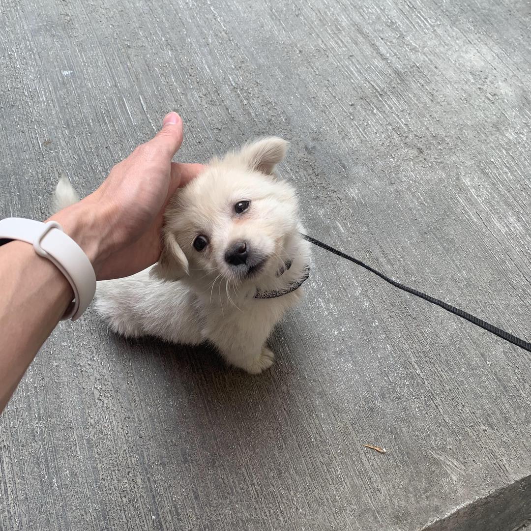 JJ.