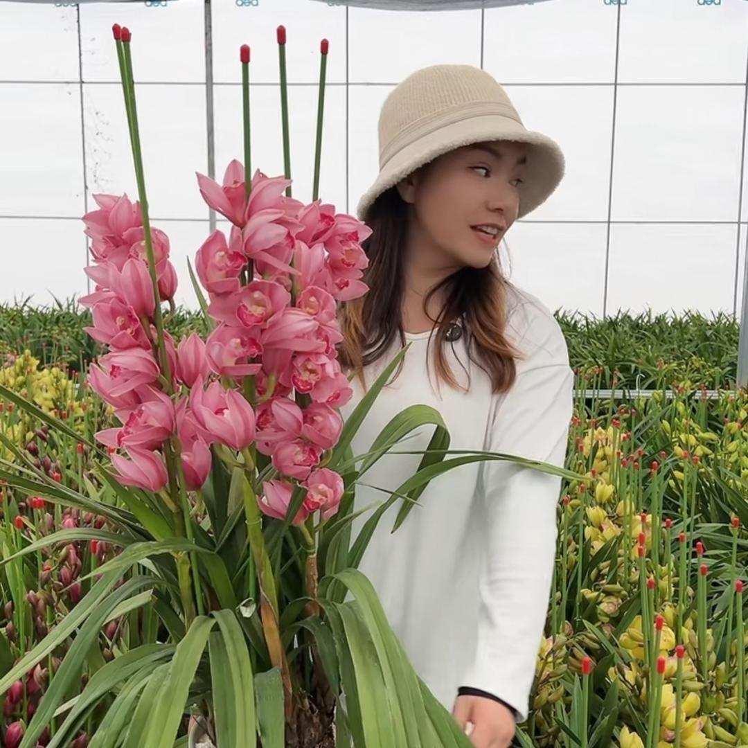 桃子家奇妙花园