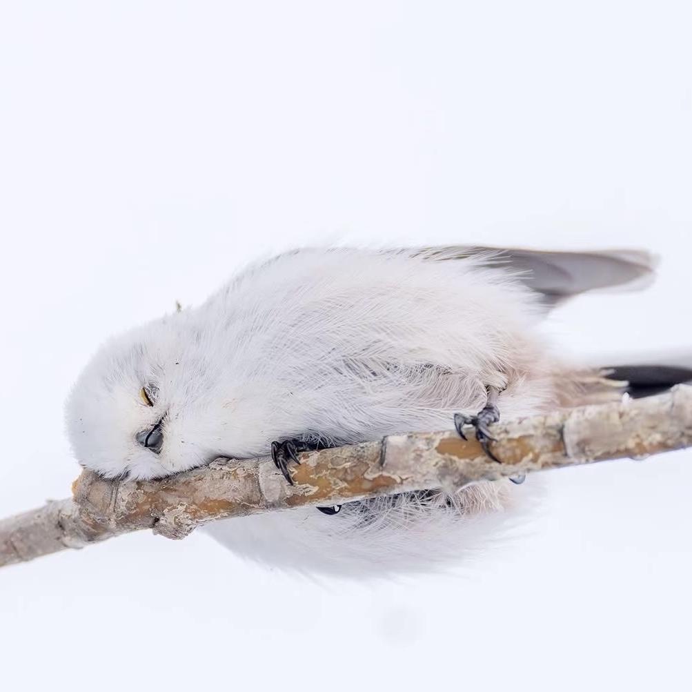 杉澜玉器珠宝
