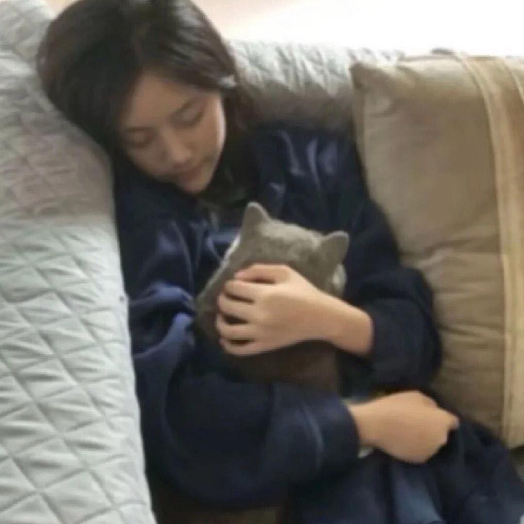 天菜