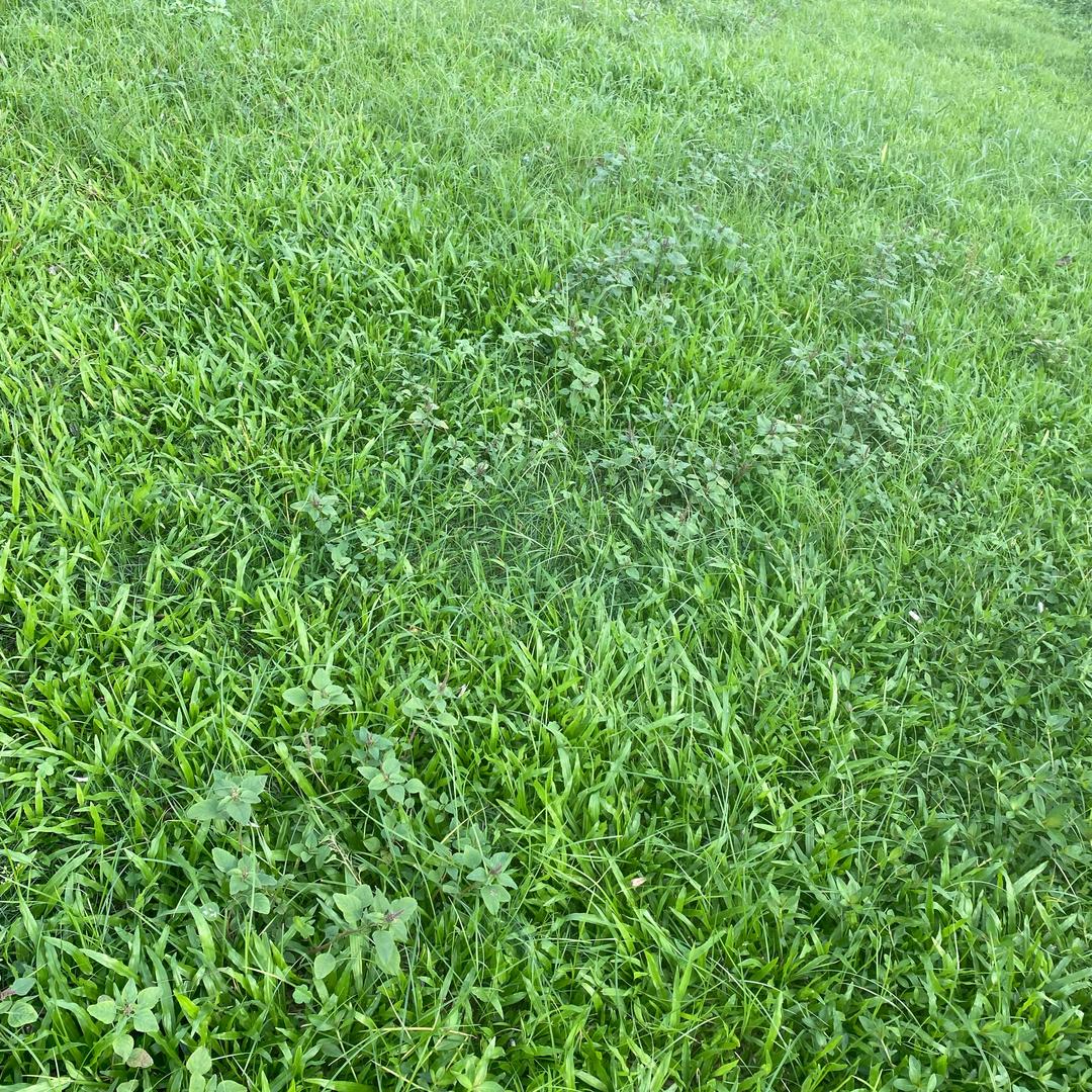 🌱🌱好好爱自己多一点🫰🫰🫰