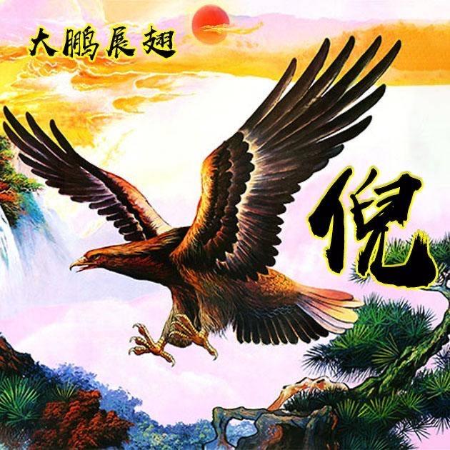 N飞鹰