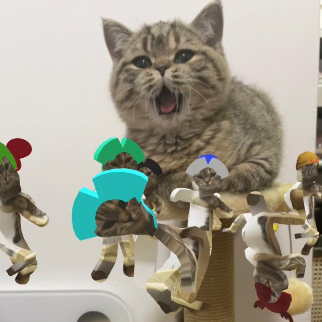 三月是猪咪