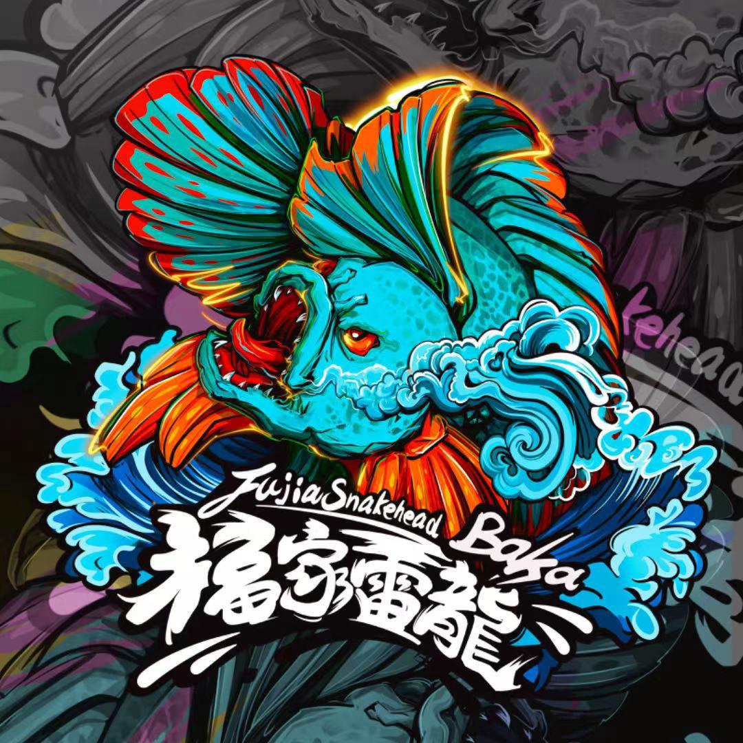 福家雷龙『Fujialeilong』