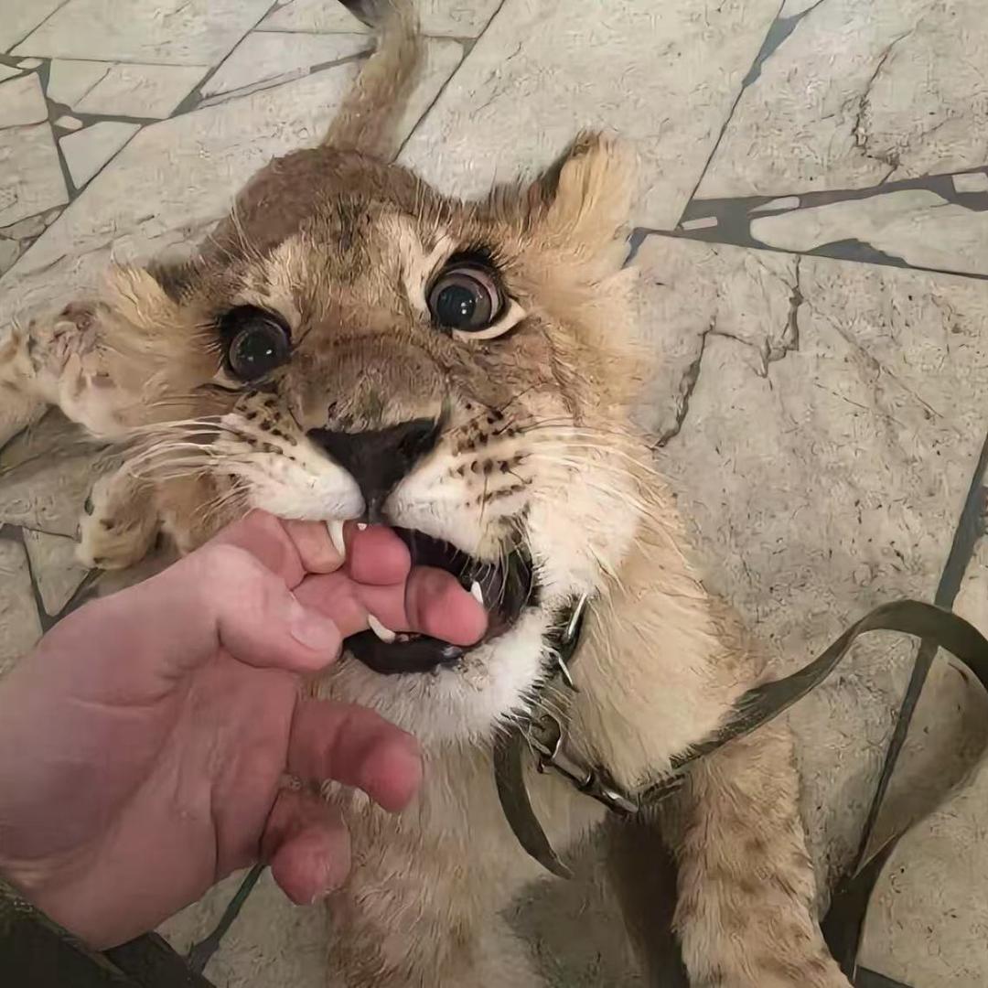 谁人又能知我心