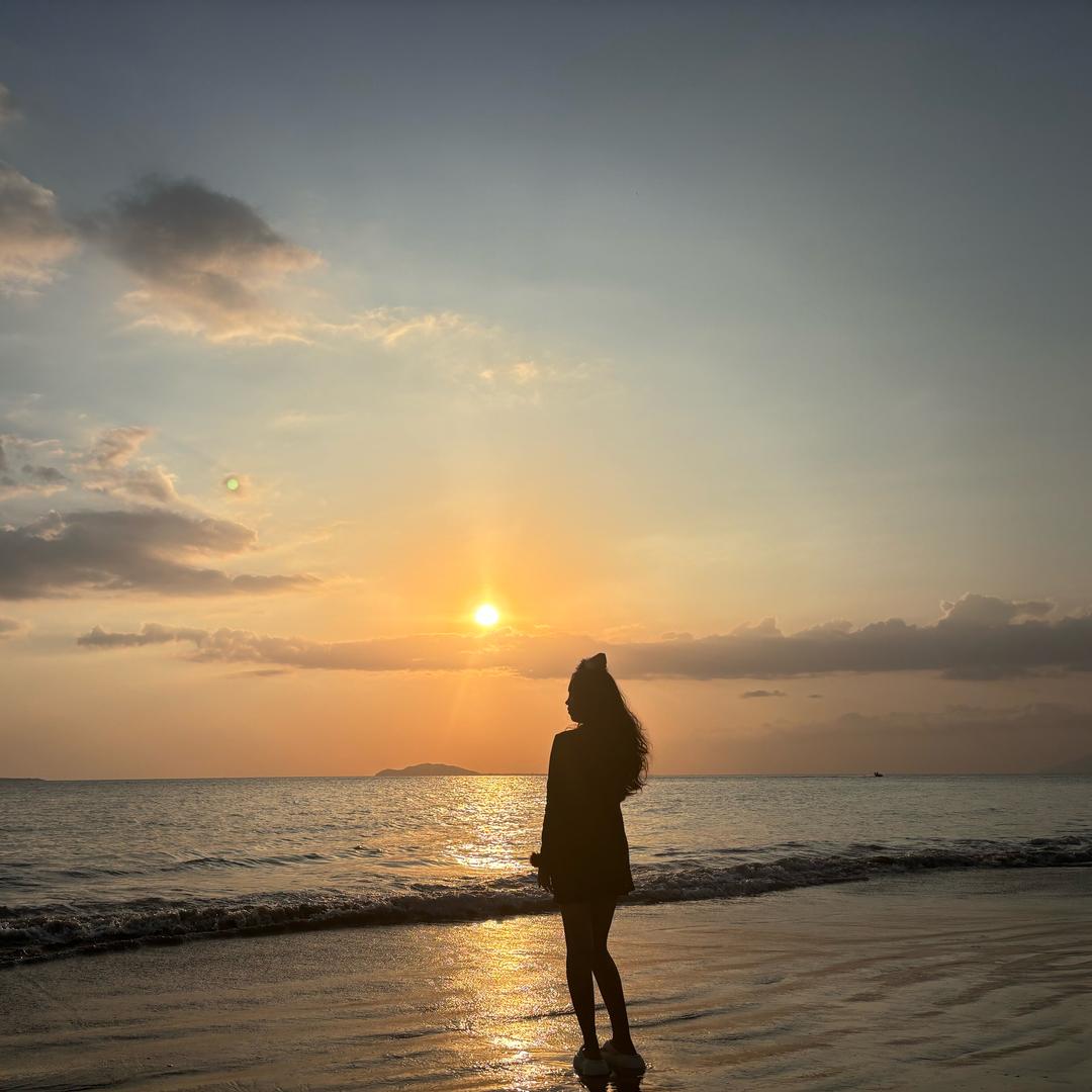 🎀 Camellia山茶 .