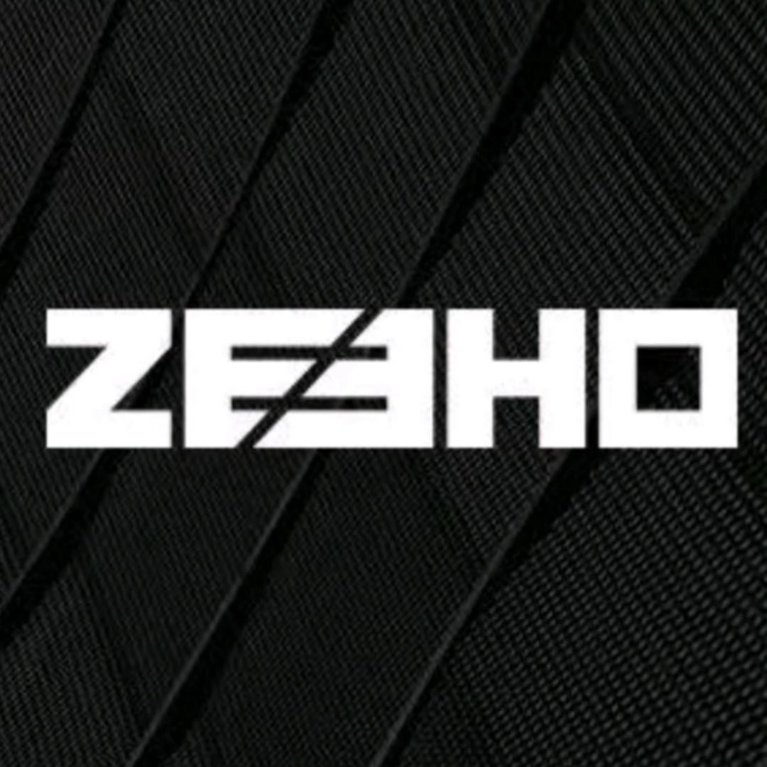 ZEEHO极核电动（长沙香樟路店直播号）