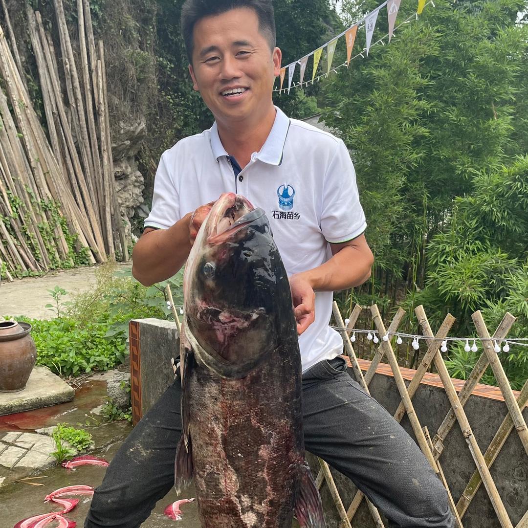 李二帅