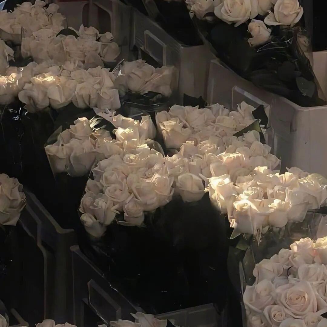 什么时候能睡饱