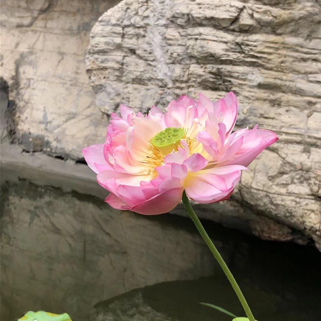 萍水相逢💕💕