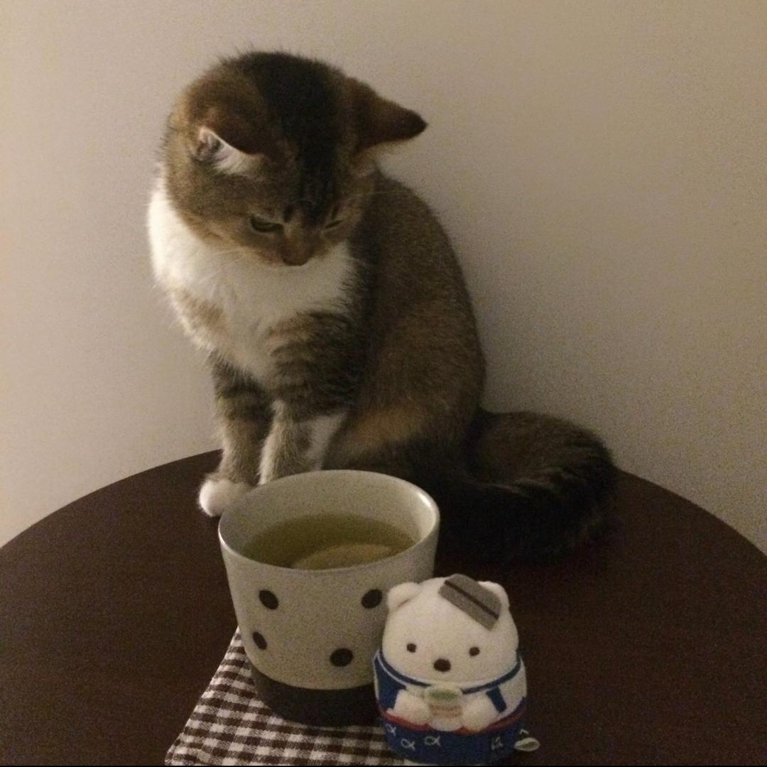 心跳充当天才鼓手