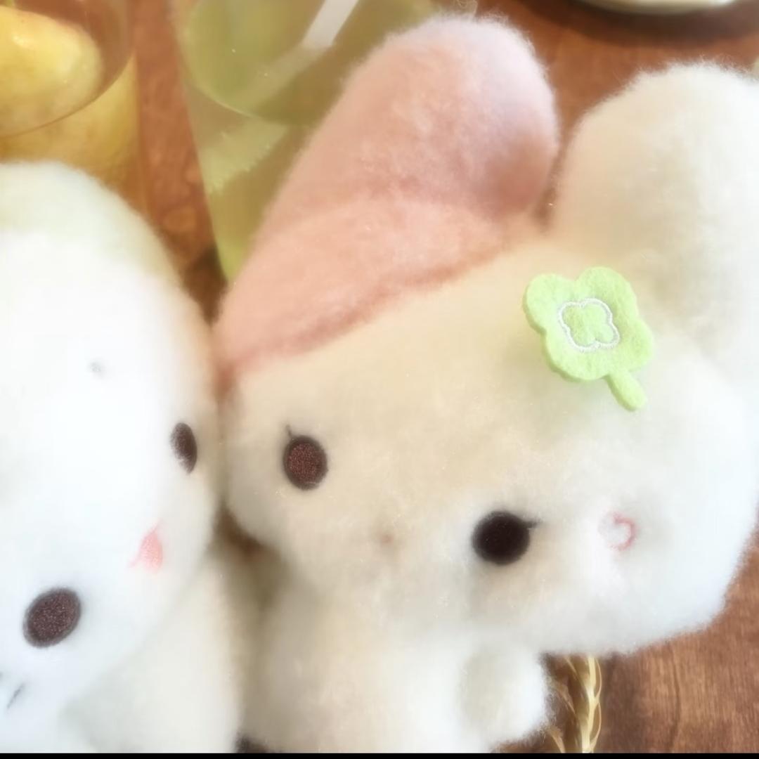 一颗番茄( ̀⌄ ́)