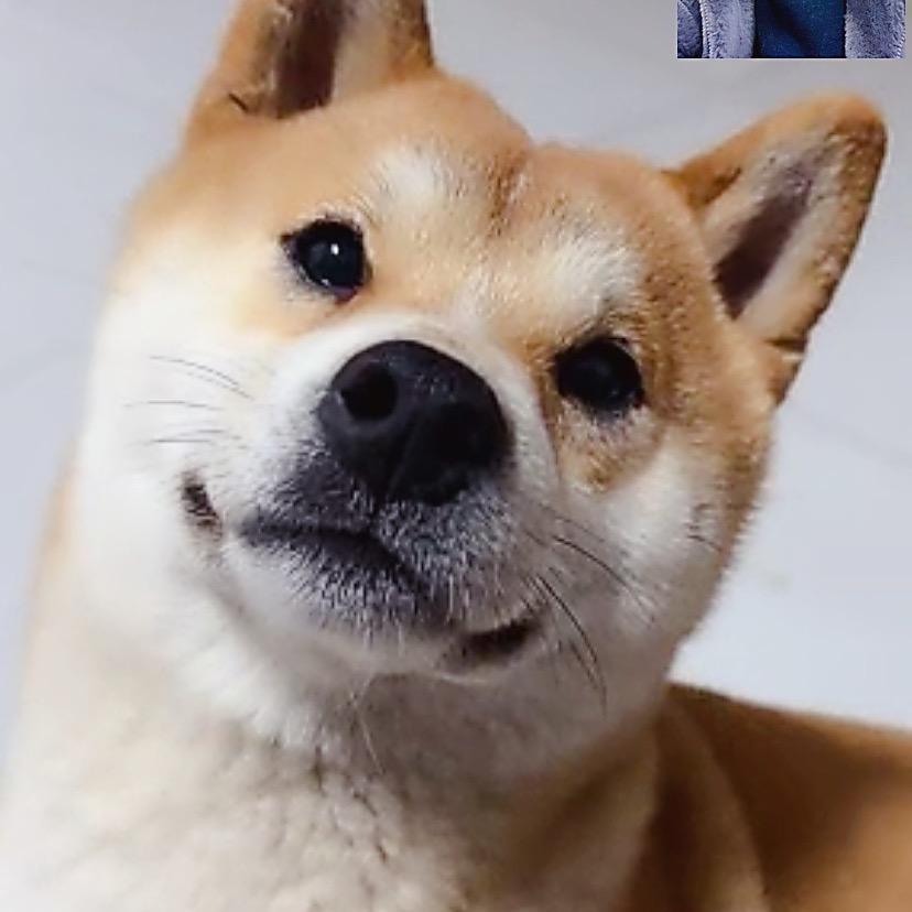 Tang凡凡