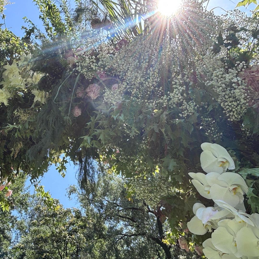 白墨烫画 丝印绘图制版