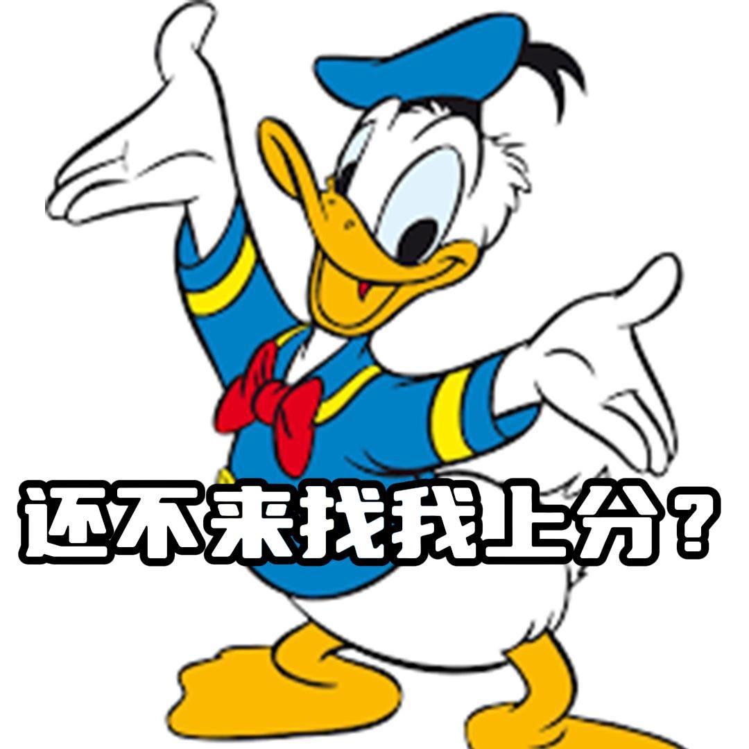 小飞飞2024