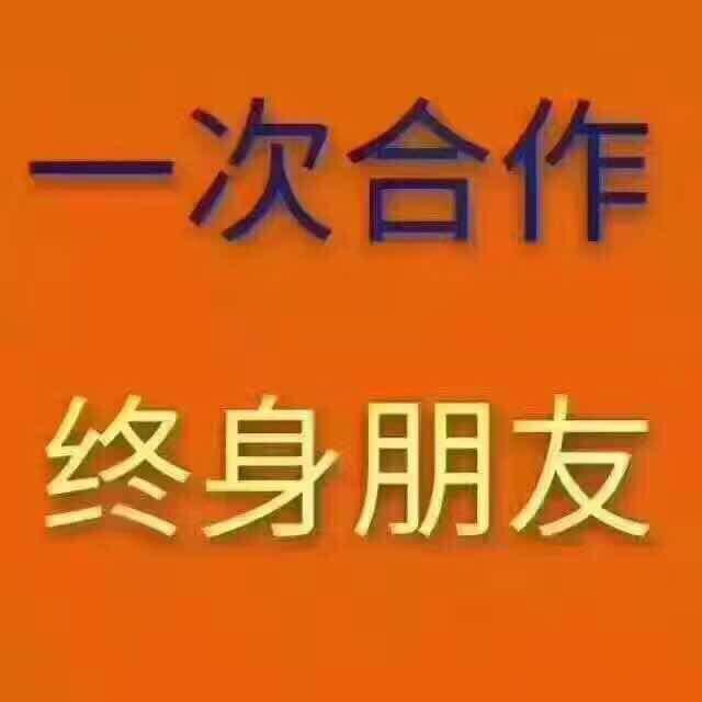 小杨哥