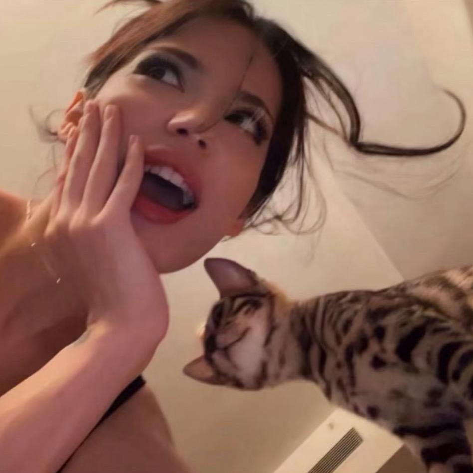 美乐蒂.