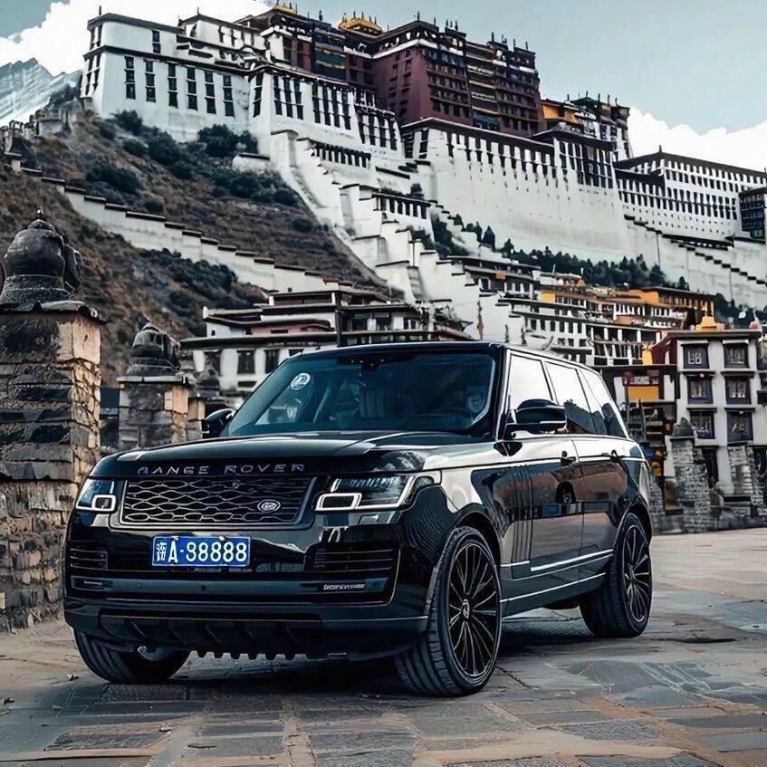 天天向上🇨🇳