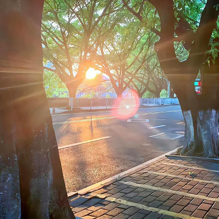 L I N
