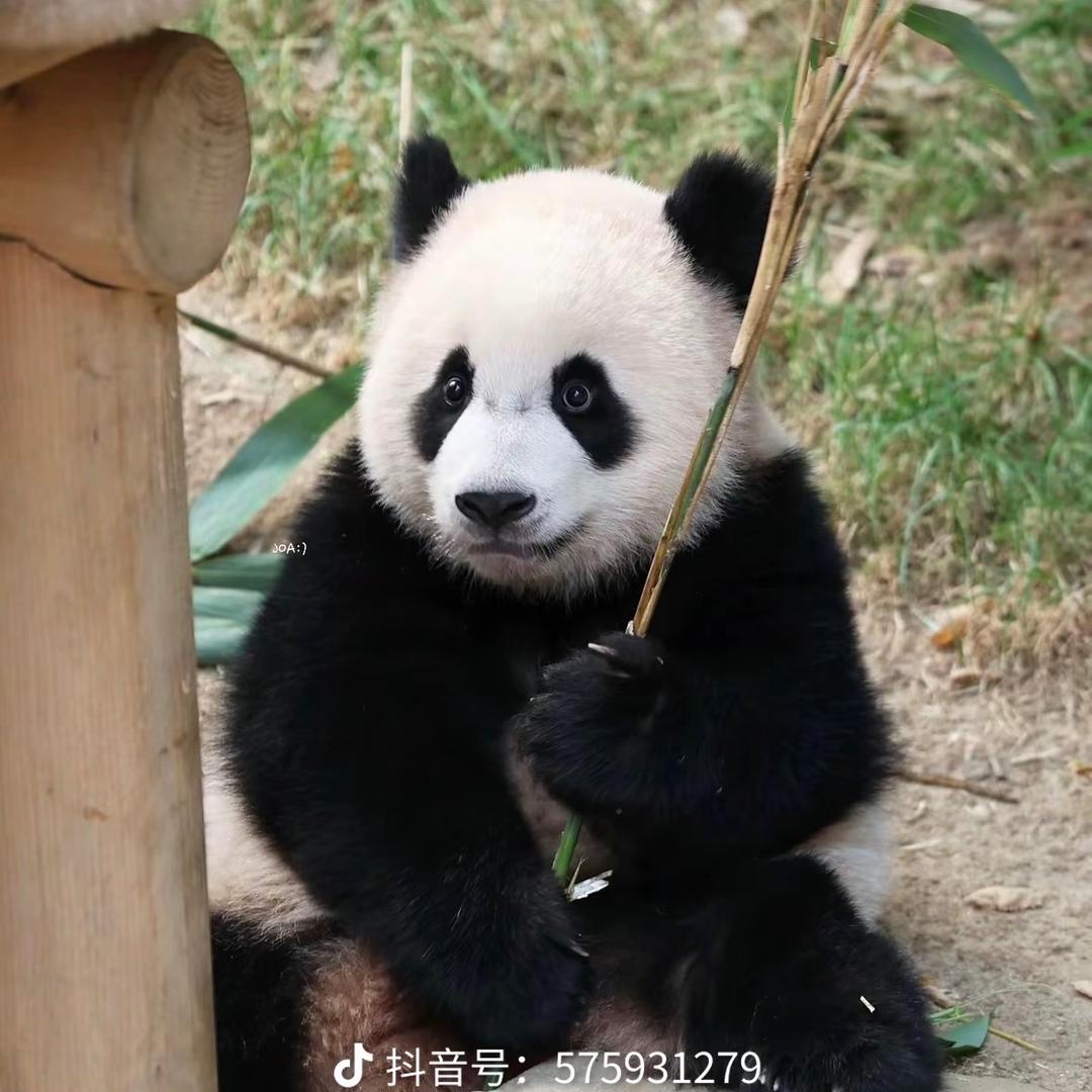 小宫同学