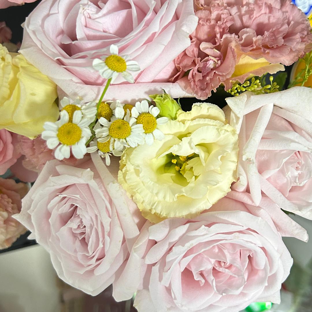 锦鑫升学规划-白老师