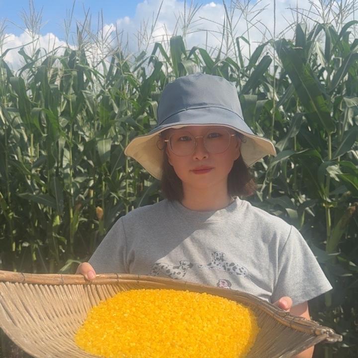 五常糯玉米碴
