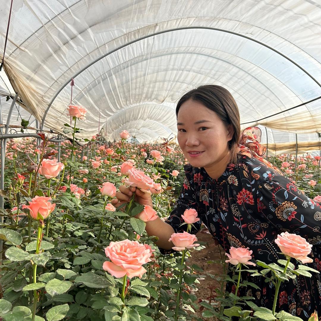 悠悠鲜花