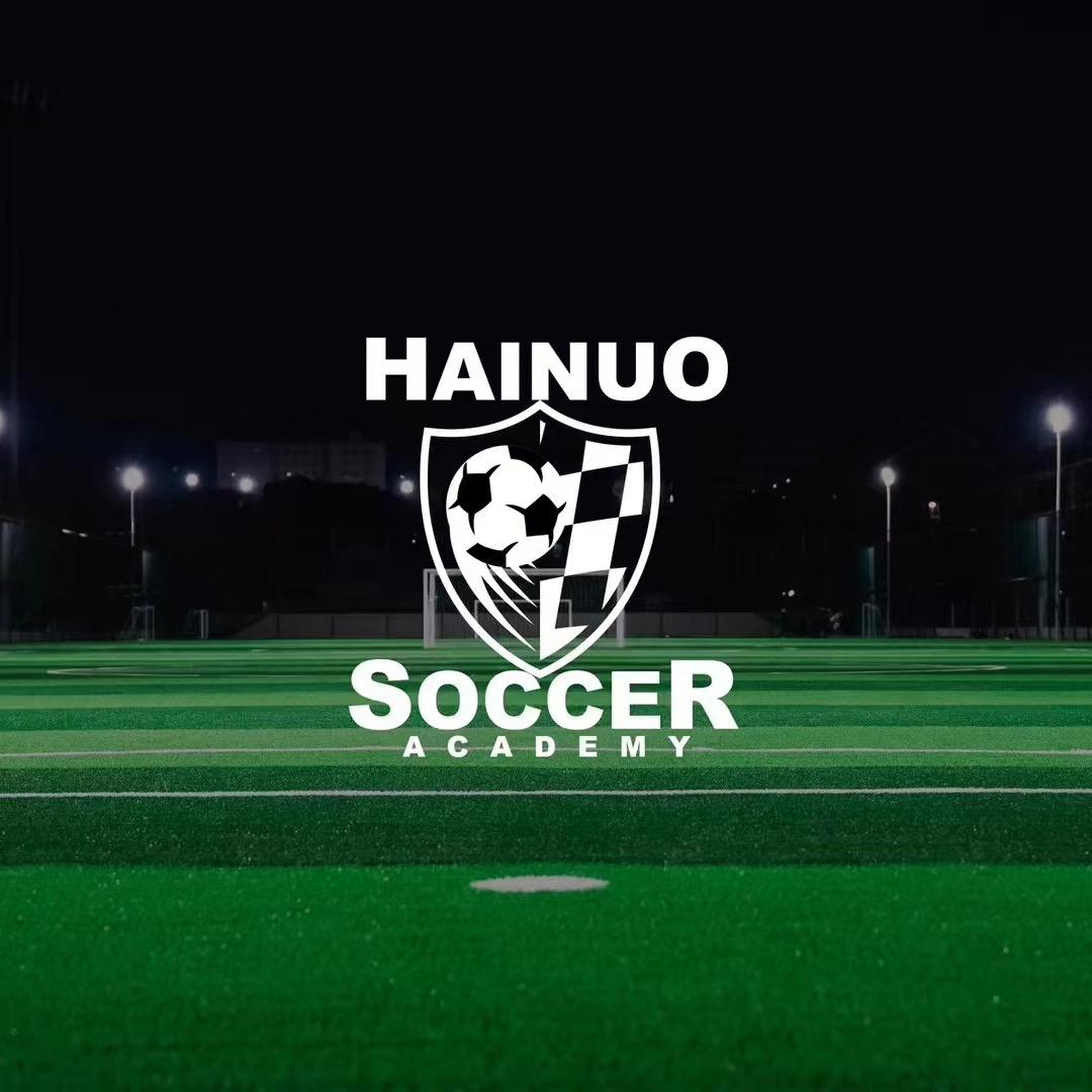 海诺足球⚽