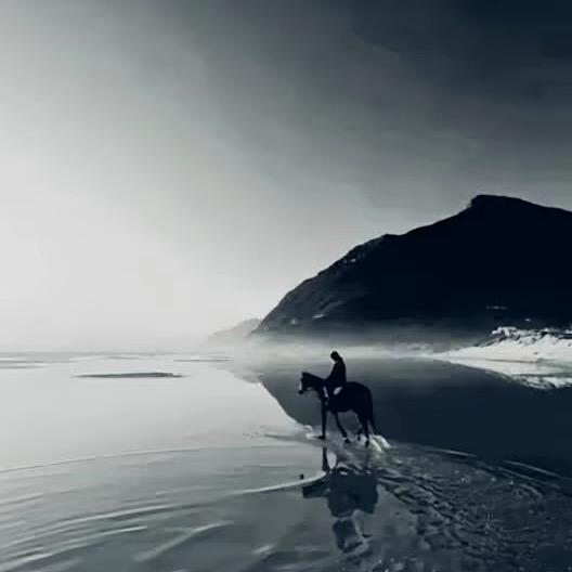 没钱没时间