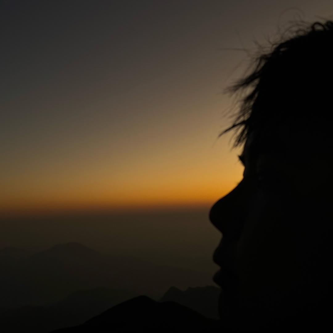 洋一鱼药Ip赋能