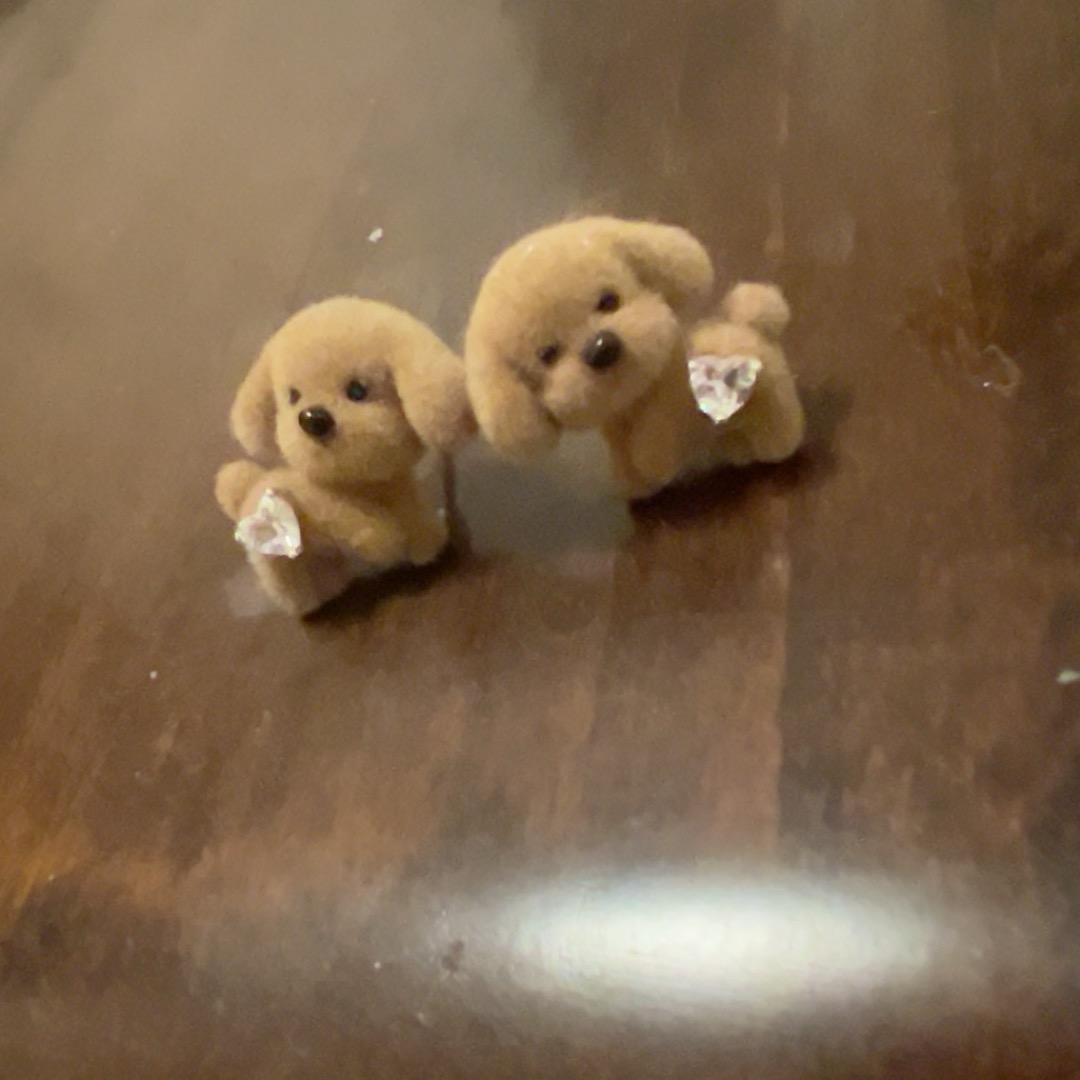 鱼Dodo