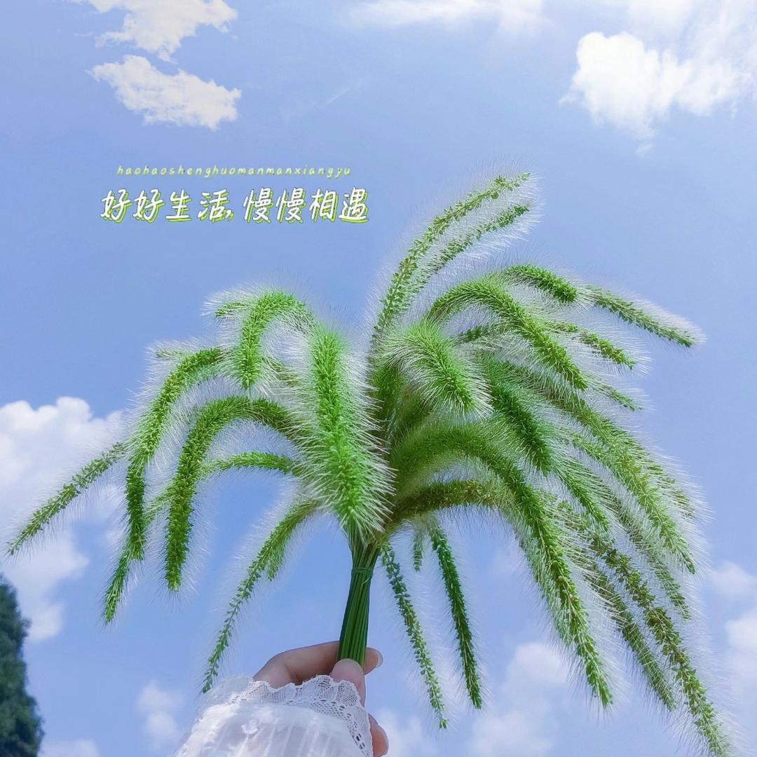 良品百货