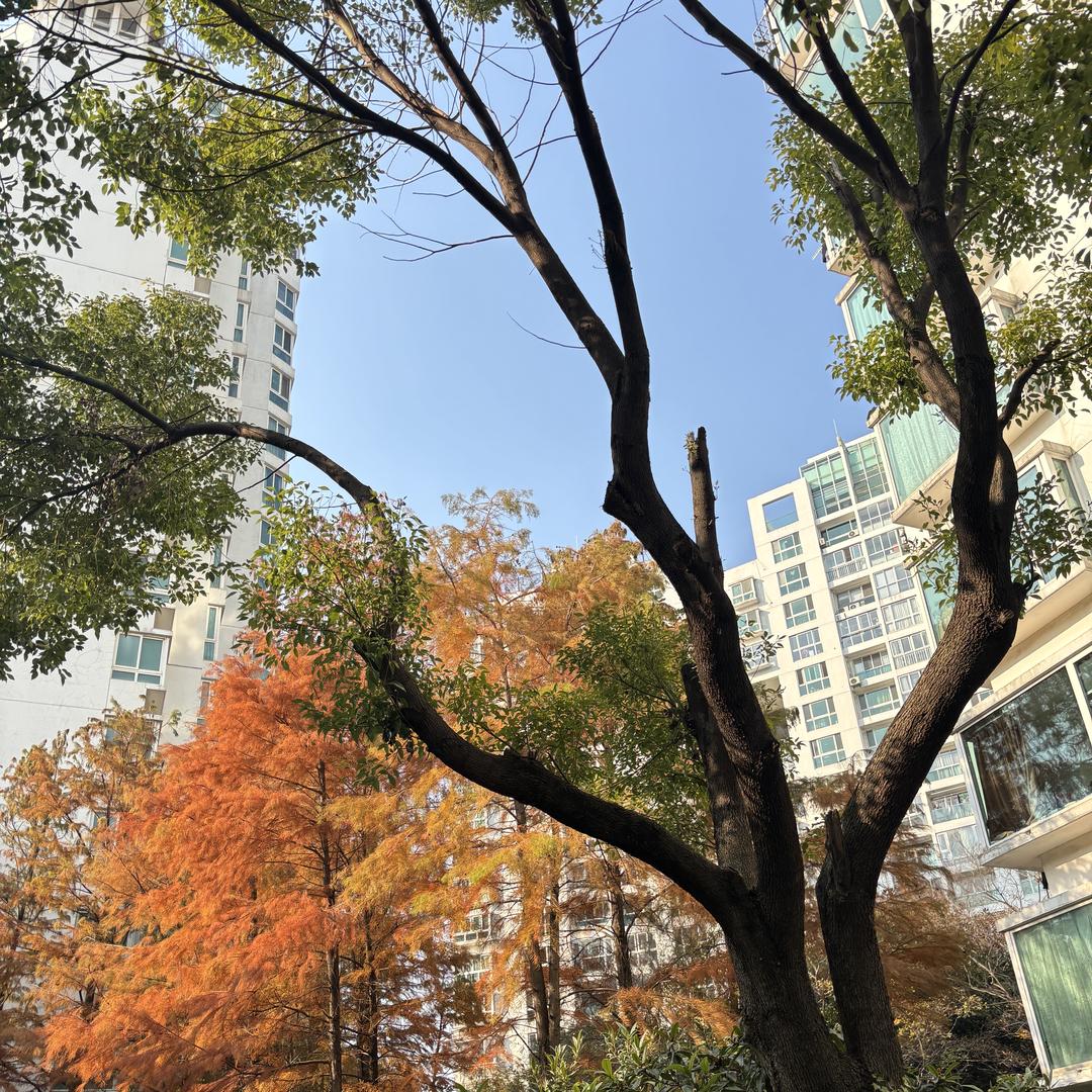 上海尚如尚邸房地产经纪有限公司