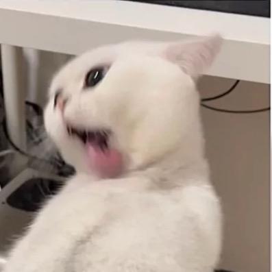 冈齐泊仁（卖地黄）