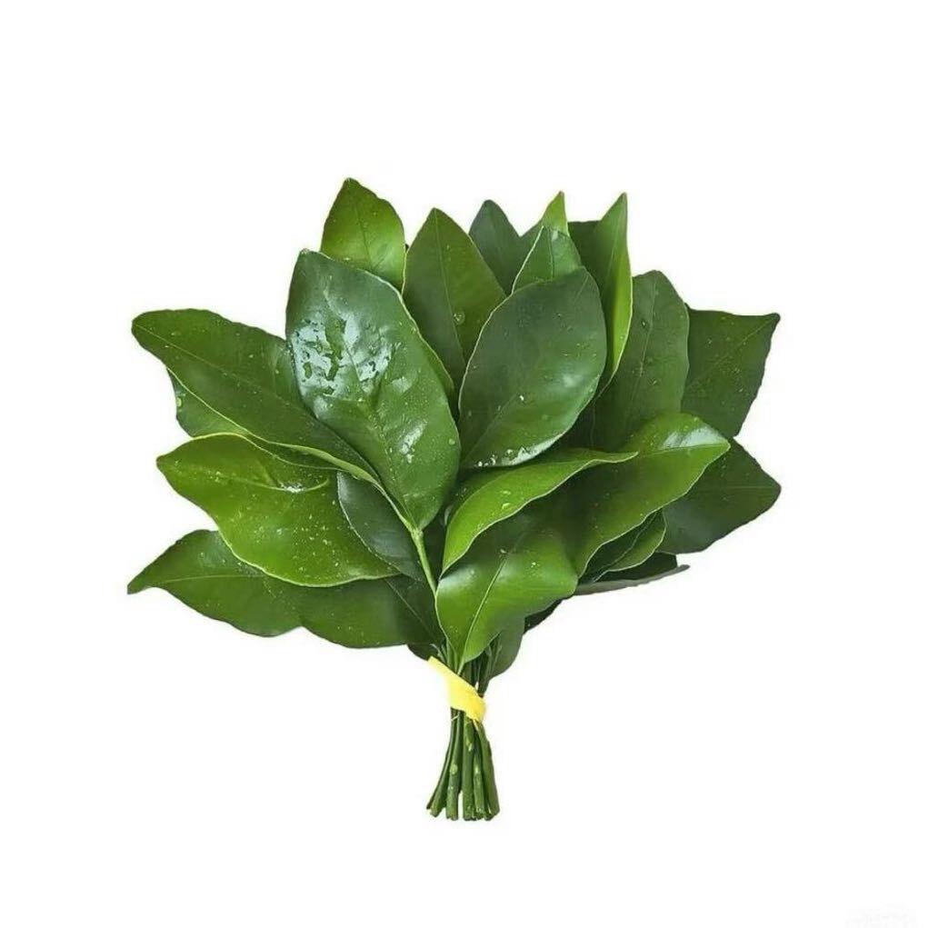 傲娇小赵