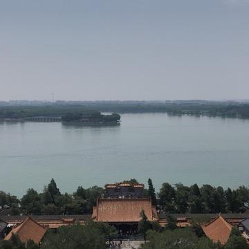 王