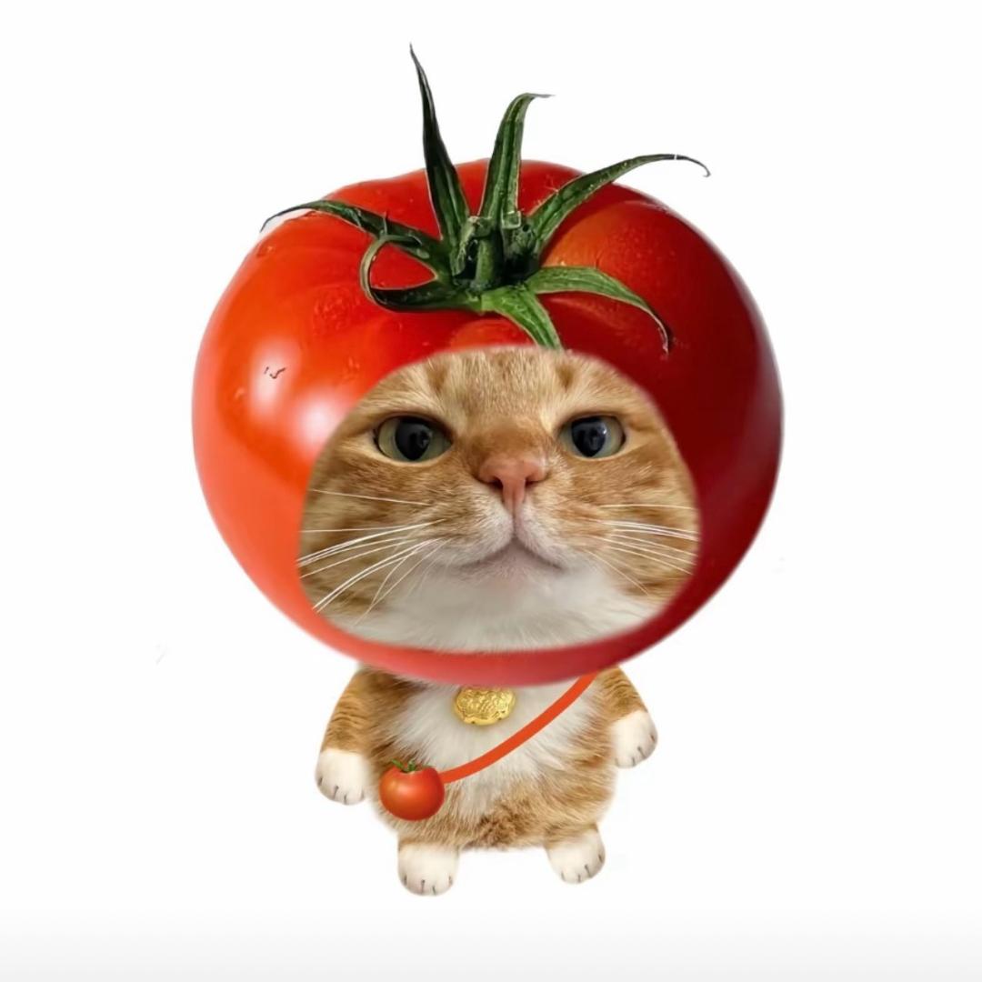 小曦