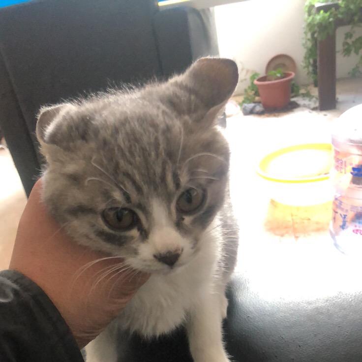 五公里的爱豆酱🙇🏿‍♂️