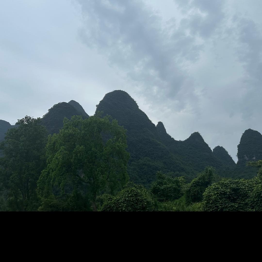 弦歌雅韵