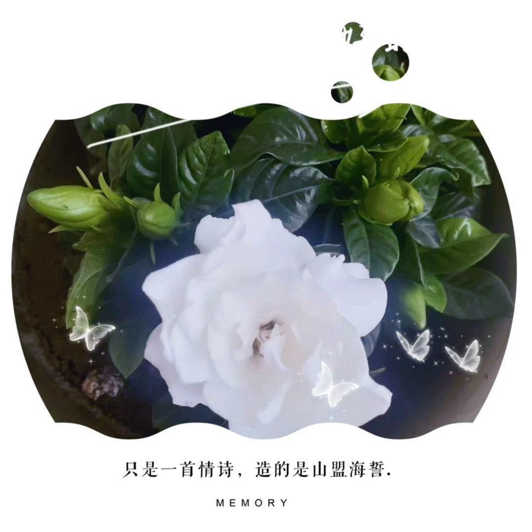 是甜小妹妹呀