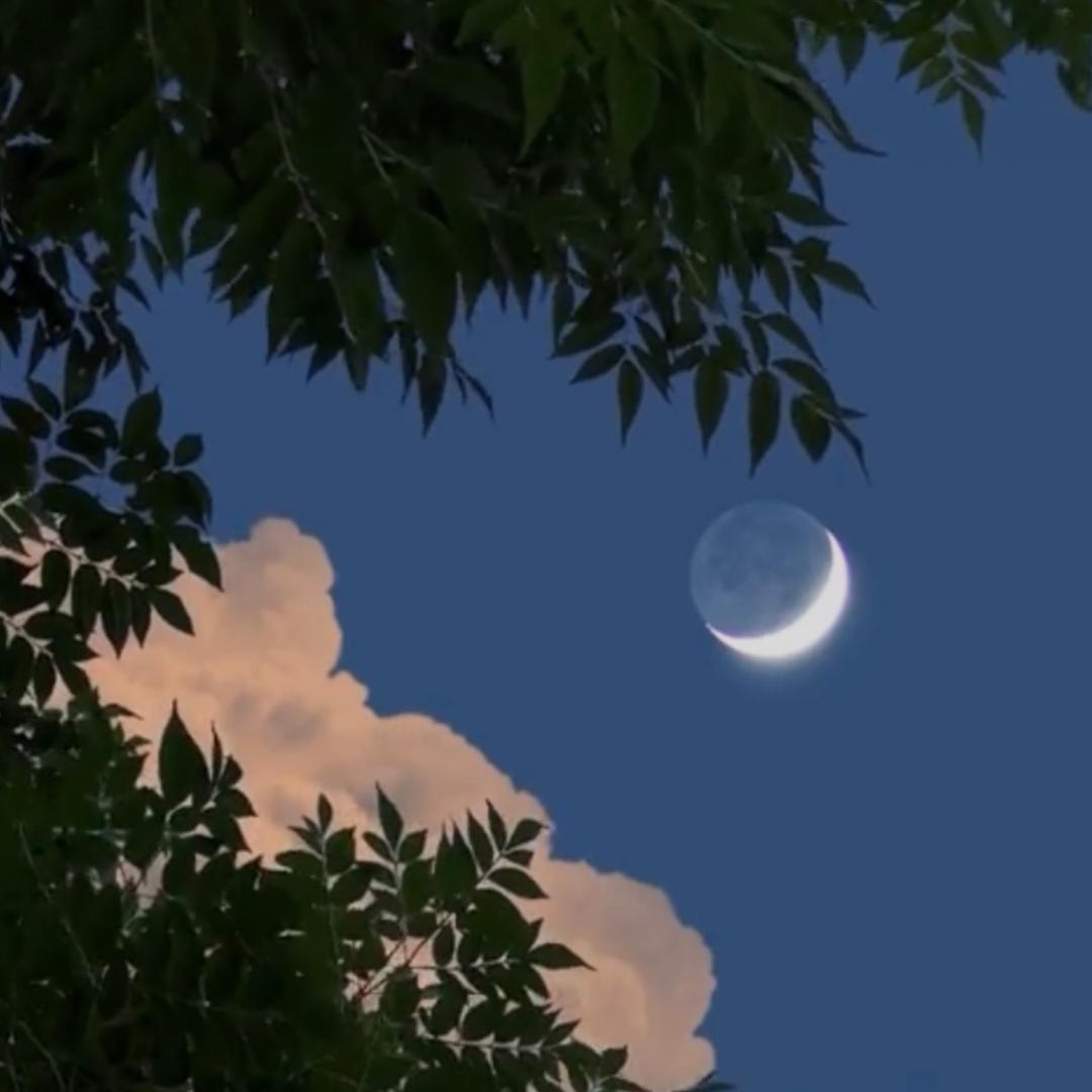 梦动xijw11nevhawefa直播号