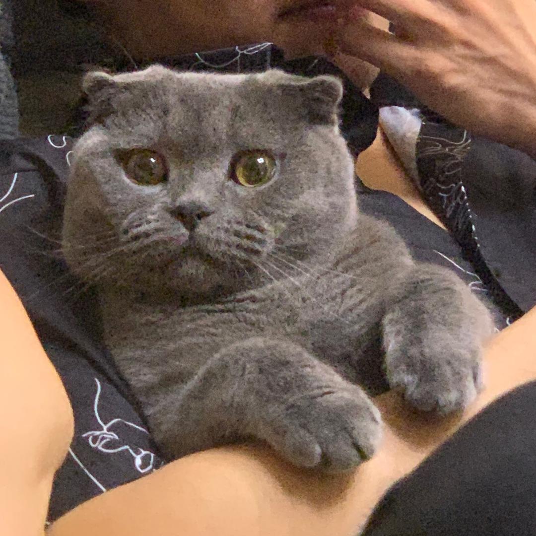 小夏的幸福生活