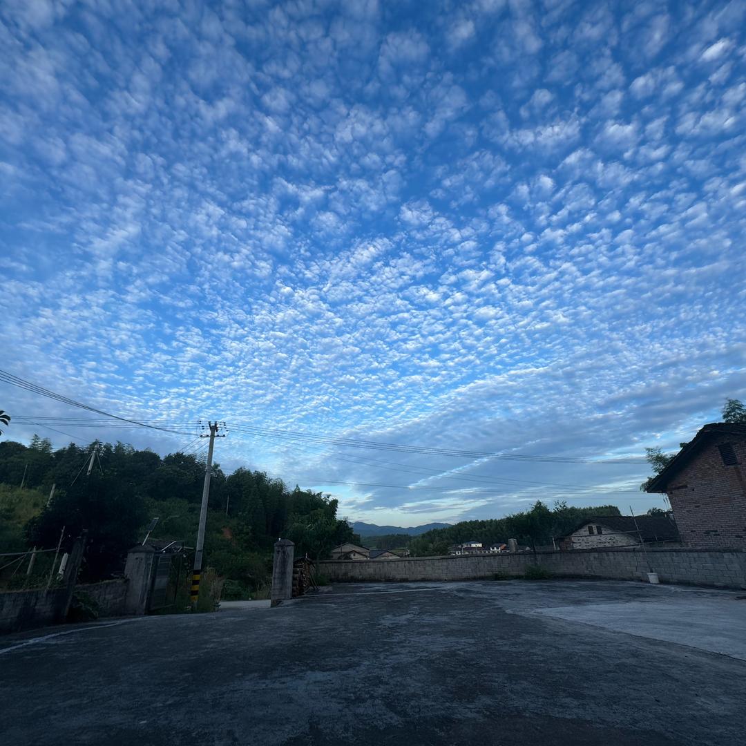 小谢跨区收割机