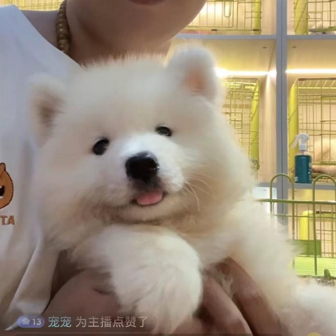清晨的阳光